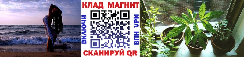 Купить закладку Каннабис  A PVP  Гашиш  Меф мяу мяу  Реутов