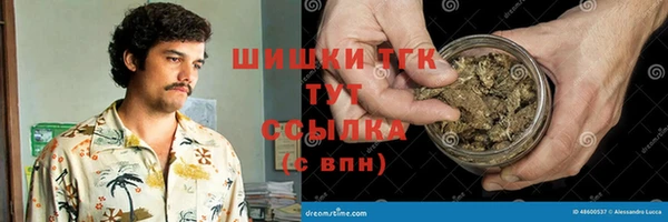 гидра Протвино